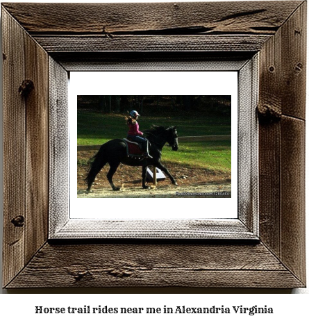 horse trail rides near me in Alexandria, Virginia